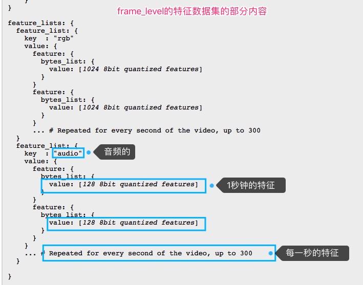 frame-level的特征内容